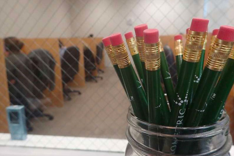 Jar of green pencils with erasers in foreground, testing cubicles visible behind glass.