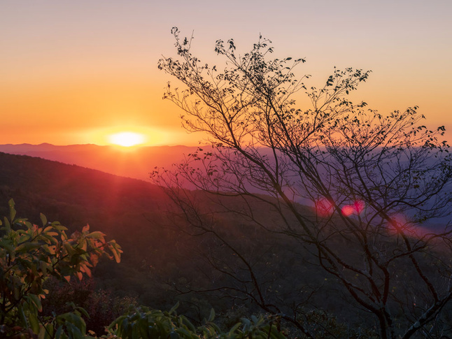 Sunrise over the Blue Ridge Parkway, with bright sun rays peaking above distant, forested mountains and dark foreground branches.